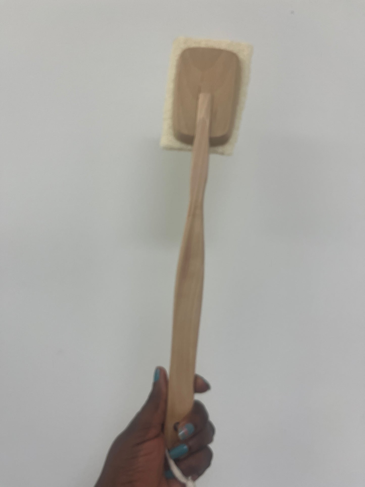 Loofah on a Detachable stick