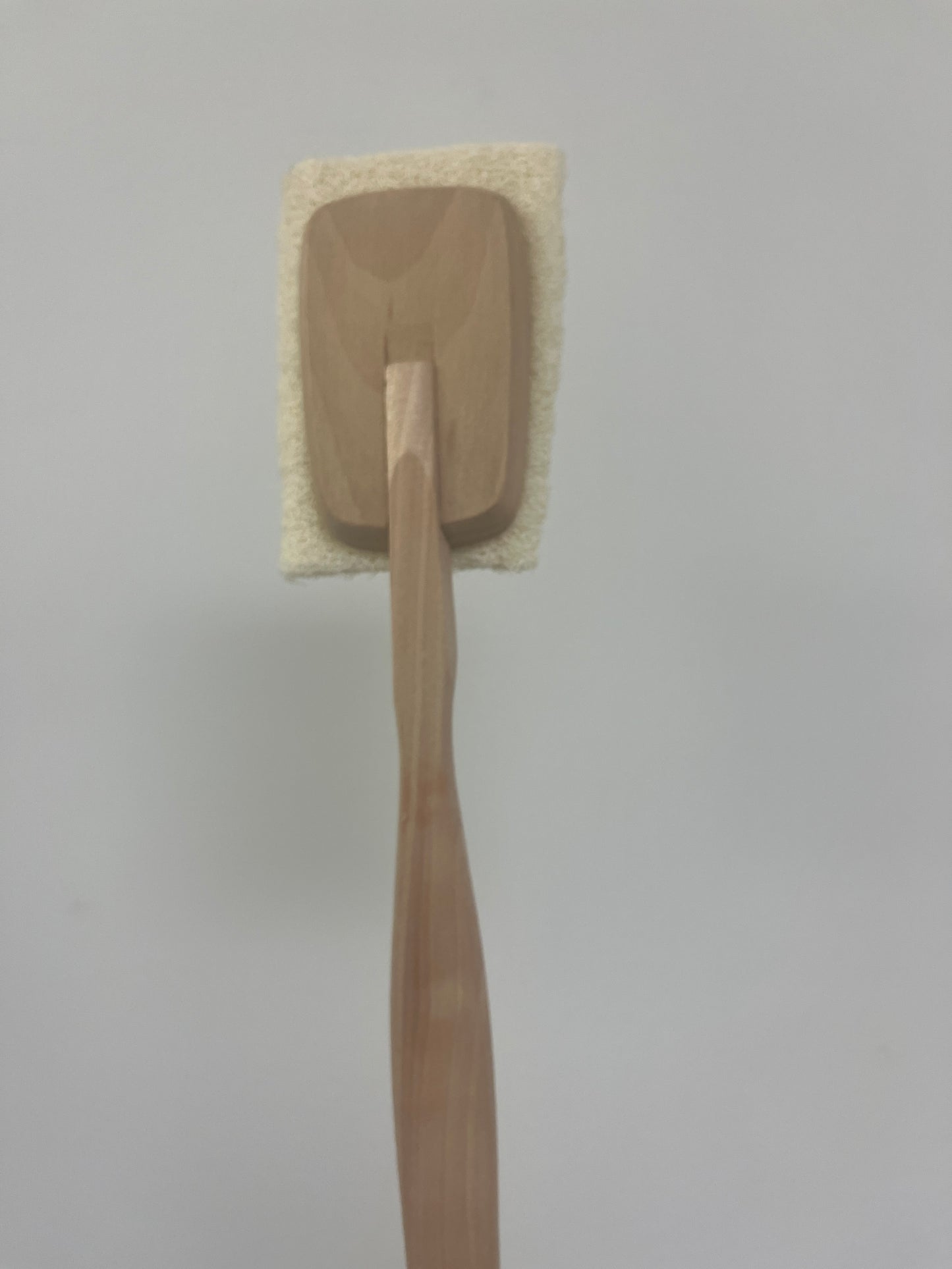 Loofah on a Detachable stick