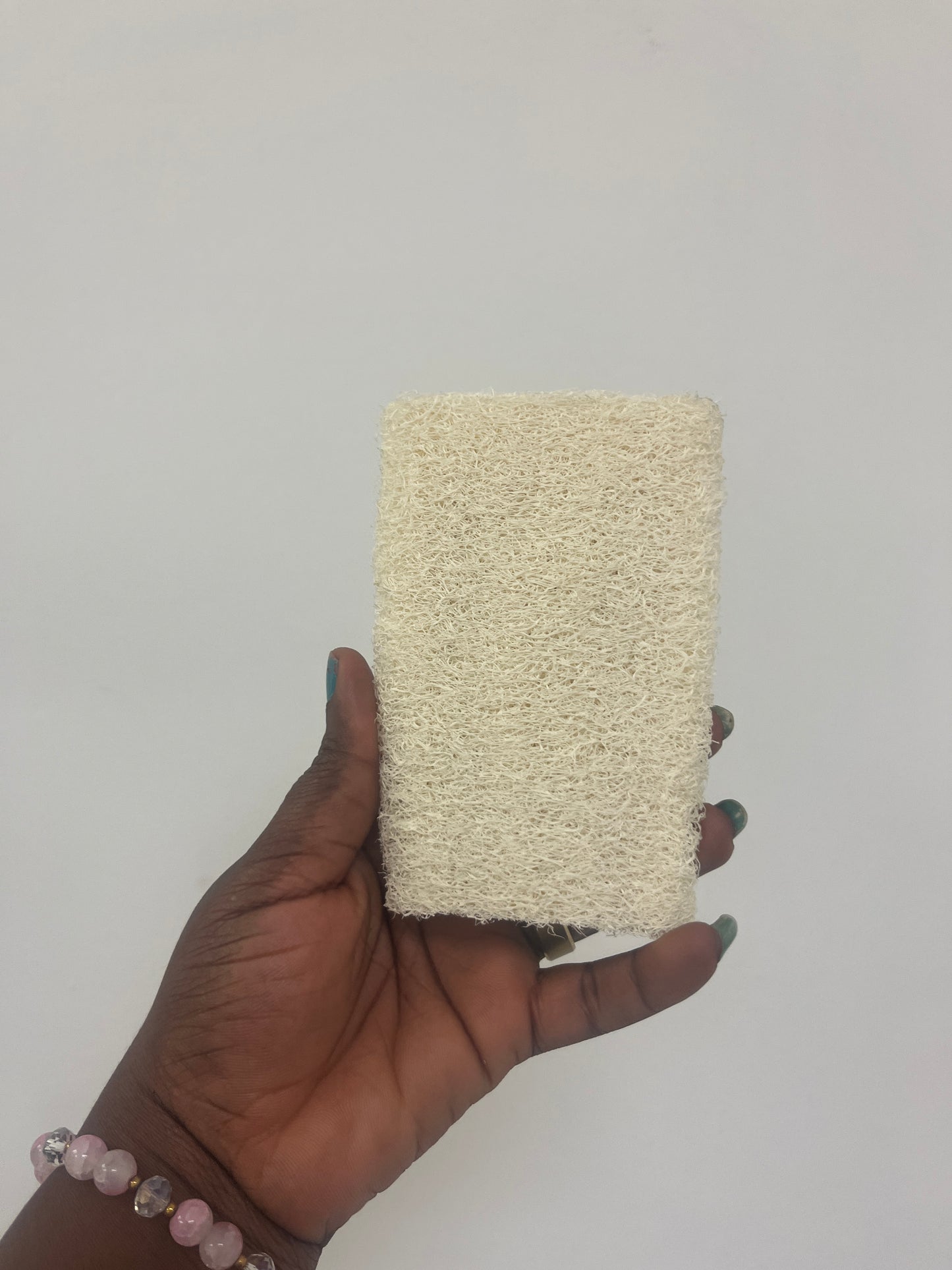Loofah on a Detachable stick