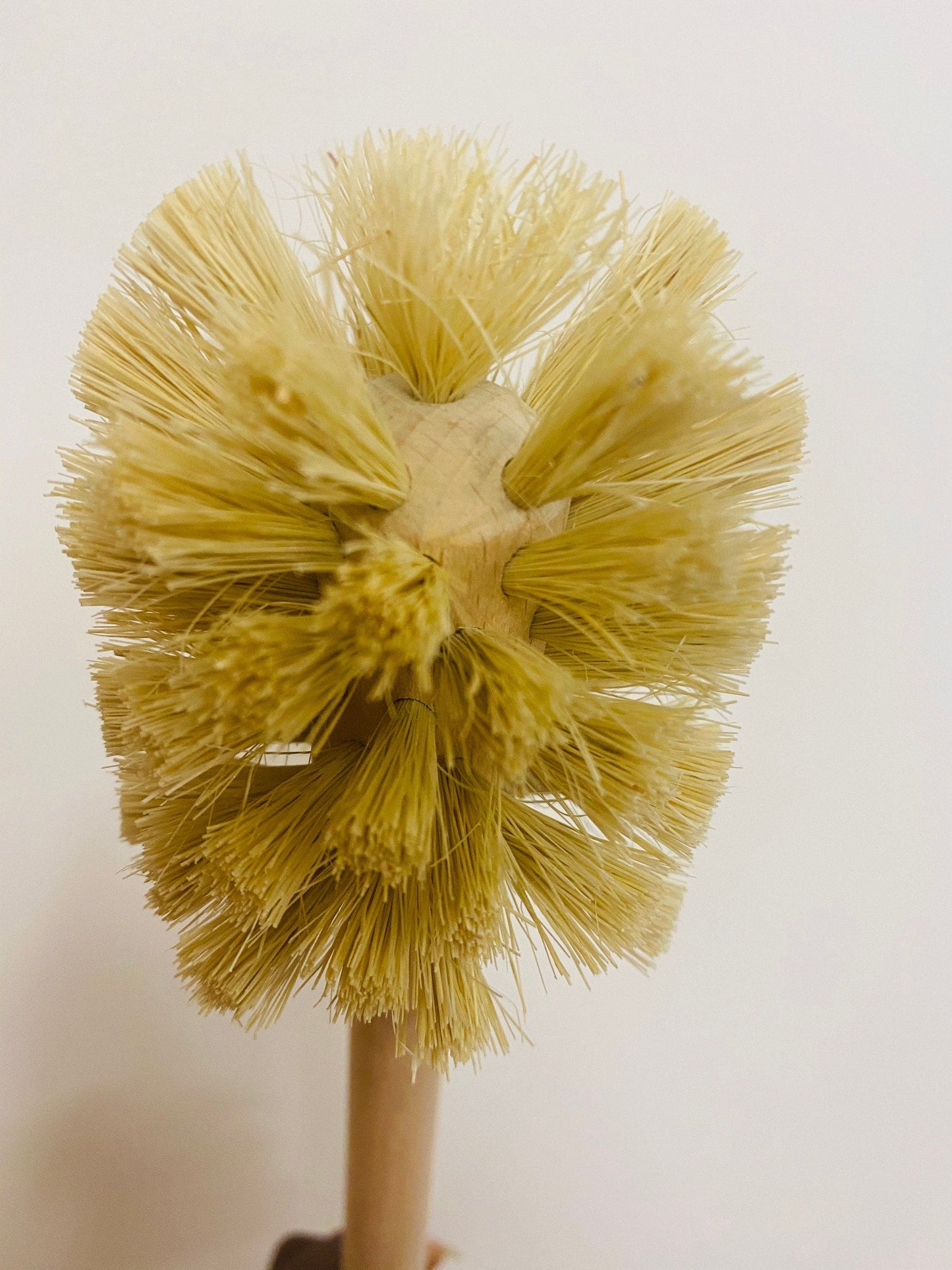 Toilet Brush