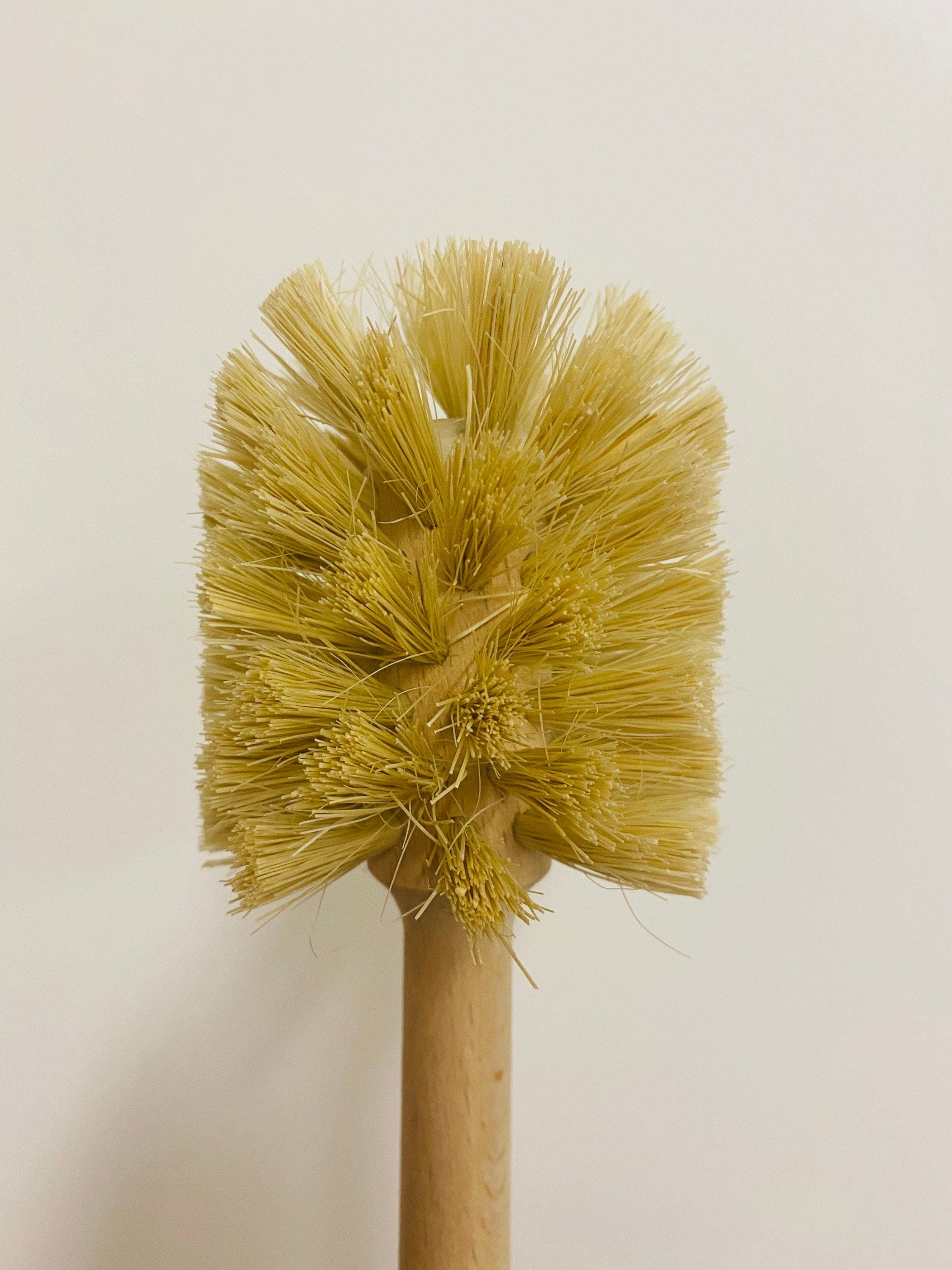 Toilet Brush