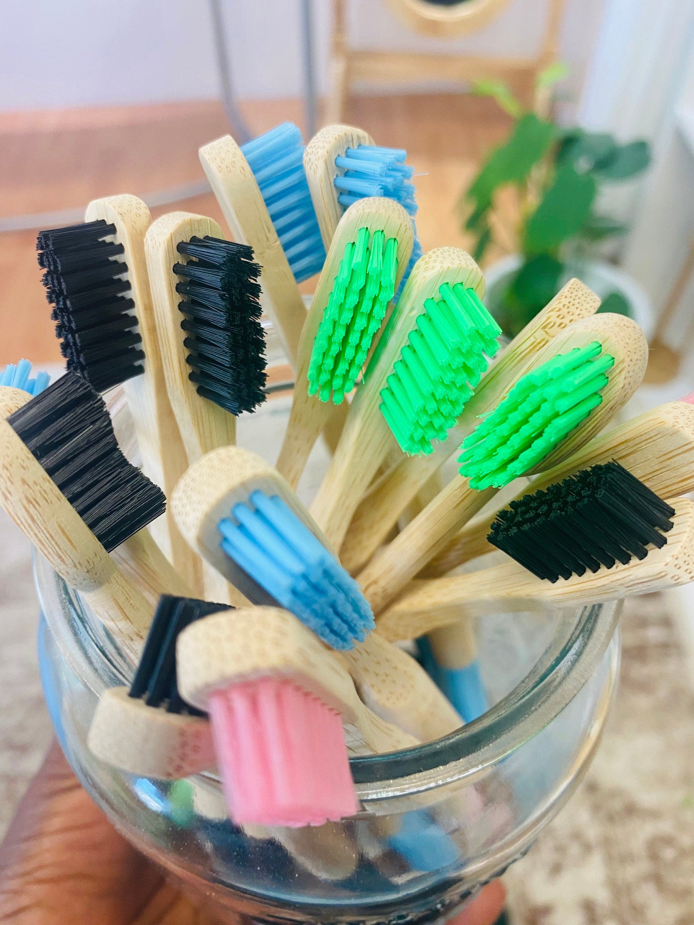 Biodegradable  Bamboo Toothbrushes- 4 Unique Colours