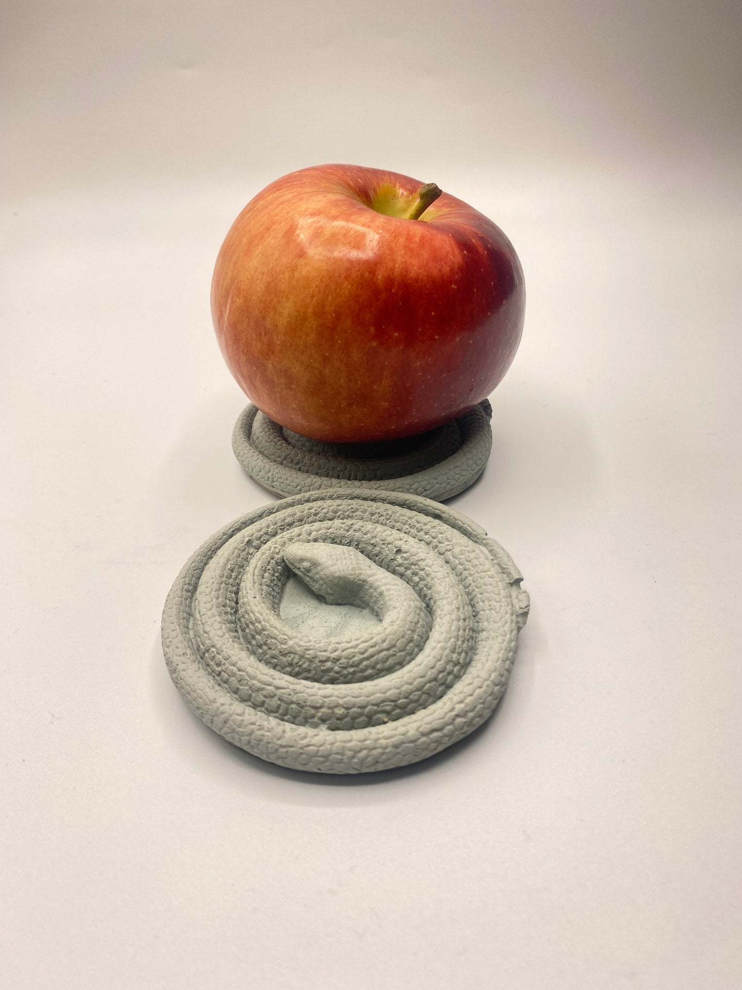 Cement Snake Coasters l Cement Snake